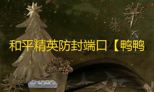 和平精英防封端口【鸭鸭子私端】和平端口-
